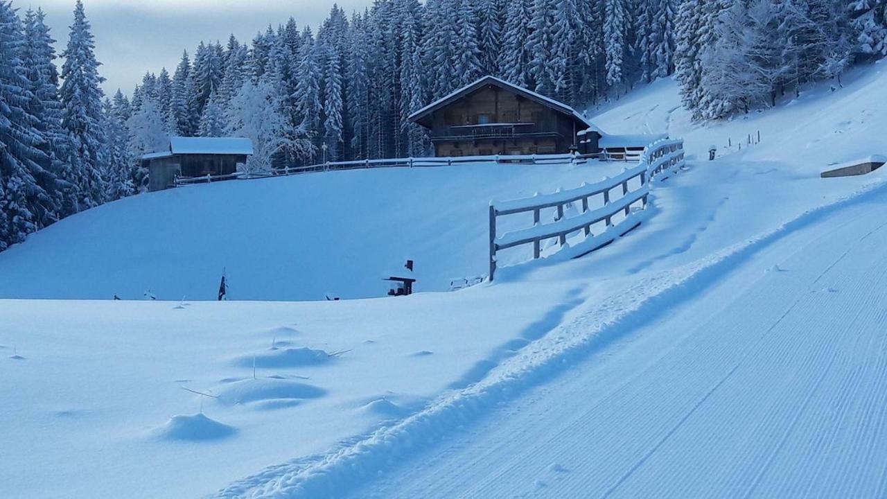 Ado'S Haus Villa Niederau Bagian luar foto